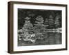 Trees and Water, Japan, 1970-Brett Weston-Framed Photographic Print