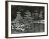 Trees and Water, Japan, 1970-Brett Weston-Framed Photographic Print