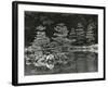 Trees and Water, Japan, 1970-Brett Weston-Framed Photographic Print