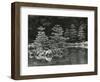 Trees and Water, Japan, 1970-Brett Weston-Framed Photographic Print