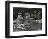 Trees and Water, Japan, 1970-Brett Weston-Framed Photographic Print