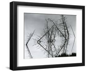 Trees and Water, Reflections, c. 1970-Brett Weston-Framed Photographic Print