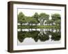 Trees are Reflected in Still Water on the Esplanade Along the Charles River in Boston-null-Framed Premium Photographic Print