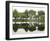 Trees are Reflected in Still Water on the Esplanade Along the Charles River in Boston-null-Framed Premium Photographic Print
