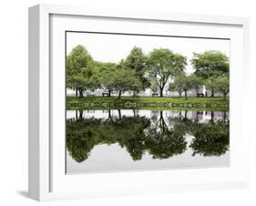 Trees are Reflected in Still Water on the Esplanade Along the Charles River in Boston-null-Framed Premium Photographic Print