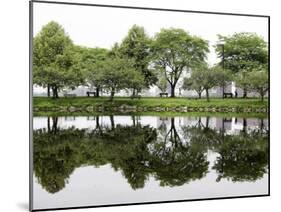 Trees are Reflected in Still Water on the Esplanade Along the Charles River in Boston-null-Mounted Premium Photographic Print