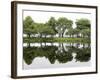 Trees are Reflected in Still Water on the Esplanade Along the Charles River in Boston-null-Framed Photographic Print