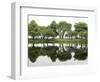 Trees are Reflected in Still Water on the Esplanade Along the Charles River in Boston-null-Framed Photographic Print