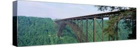 Trees Around New River Gorge Bridge, Route 19, West Virginia, USA-null-Stretched Canvas