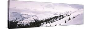 Trees at a Ski Resort, Kitzbuhel Alps, Wildschonau, Kufstein, Tyrol, Austria-null-Stretched Canvas