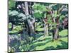 Trees at Auchinleck, Ayrshire-Francis Campbell Boileau Cadell-Mounted Giclee Print