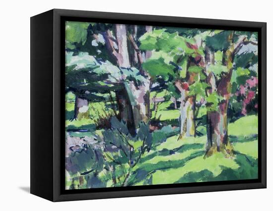 Trees at Auchinleck, Ayrshire-Francis Campbell Boileau Cadell-Framed Stretched Canvas
