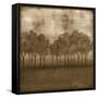 Trees at Dusk II-Nancy Slocum-Framed Stretched Canvas