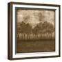 Trees at Dusk II-Nancy Slocum-Framed Art Print