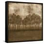 Trees at Dusk II-Nancy Slocum-Framed Stretched Canvas