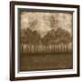 Trees at Dusk II-Nancy Slocum-Framed Premium Giclee Print