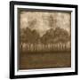 Trees at Dusk II-Nancy Slocum-Framed Premium Giclee Print
