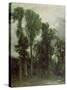 Trees at Hampstead-John Constable-Stretched Canvas