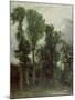 Trees at Hampstead-John Constable-Mounted Giclee Print