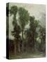 Trees at Hampstead-John Constable-Stretched Canvas