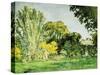 Trees at Jas de Bouffan-Paul Cézanne-Stretched Canvas