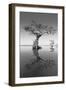 Trees at Lake 2-Moises Levy-Framed Photographic Print