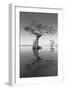 Trees at Lake 2-Moises Levy-Framed Photographic Print