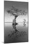 Trees at Lake 2-Moises Levy-Mounted Photographic Print