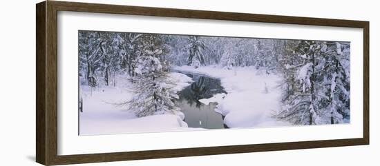 Trees at Lakeside, New York State Route 28, Old Forge, Adirondack Mountains, New York State, USA-null-Framed Photographic Print