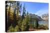 Trees at Phelps Lake in Autumn (Fall), Grand Teton National Park, Wyoming, Usa-Eleanor Scriven-Stretched Canvas