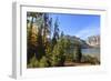 Trees at Phelps Lake in Autumn (Fall), Grand Teton National Park, Wyoming, Usa-Eleanor Scriven-Framed Photographic Print