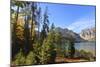 Trees at Phelps Lake in Autumn (Fall), Grand Teton National Park, Wyoming, Usa-Eleanor Scriven-Mounted Photographic Print