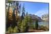 Trees at Phelps Lake in Autumn (Fall), Grand Teton National Park, Wyoming, Usa-Eleanor Scriven-Mounted Photographic Print