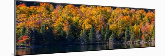 Trees at pondside, East Bolton, Quebec, Canada-null-Mounted Photographic Print