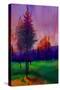 Trees at Sunset-Ruth Day-Stretched Canvas