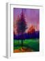 Trees at Sunset-Ruth Day-Framed Giclee Print