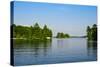 Trees at the Lakeside, Lake Muskoka, Ontario, Canada-null-Stretched Canvas