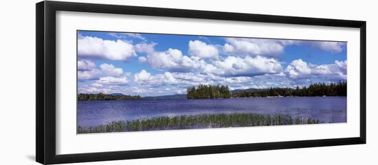 Trees at the Lakeside, Raquette Lake, Adirondack Mountains, New York State, USA-null-Framed Premium Photographic Print