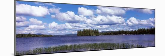 Trees at the Lakeside, Raquette Lake, Adirondack Mountains, New York State, USA-null-Mounted Photographic Print