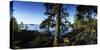 Trees at the Lakeside, Saimaa, Puumala, Southern Savonia, Eastern Finland, Finland-null-Stretched Canvas