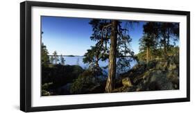 Trees at the Lakeside, Saimaa, Puumala, Southern Savonia, Eastern Finland, Finland-null-Framed Photographic Print