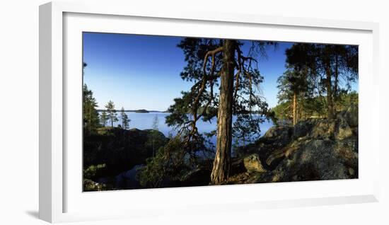 Trees at the Lakeside, Saimaa, Puumala, Southern Savonia, Eastern Finland, Finland-null-Framed Photographic Print