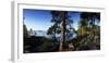 Trees at the Lakeside, Saimaa, Puumala, Southern Savonia, Eastern Finland, Finland-null-Framed Photographic Print