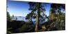 Trees at the Lakeside, Saimaa, Puumala, Southern Savonia, Eastern Finland, Finland-null-Mounted Photographic Print