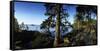 Trees at the Lakeside, Saimaa, Puumala, Southern Savonia, Eastern Finland, Finland-null-Framed Stretched Canvas