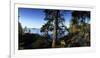 Trees at the Lakeside, Saimaa, Puumala, Southern Savonia, Eastern Finland, Finland-null-Framed Photographic Print