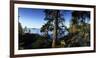 Trees at the Lakeside, Saimaa, Puumala, Southern Savonia, Eastern Finland, Finland-null-Framed Photographic Print