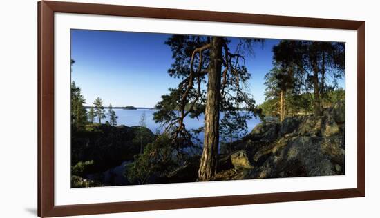 Trees at the Lakeside, Saimaa, Puumala, Southern Savonia, Eastern Finland, Finland-null-Framed Photographic Print