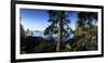 Trees at the Lakeside, Saimaa, Puumala, Southern Savonia, Eastern Finland, Finland-null-Framed Photographic Print