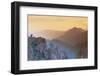 Trees atop Rocky Ridges-DLILLC-Framed Photographic Print